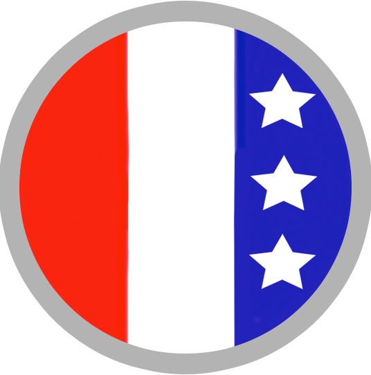 usa logo