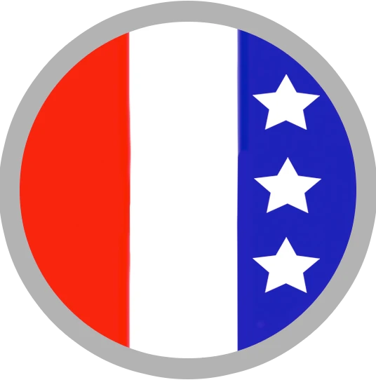 usa logo
